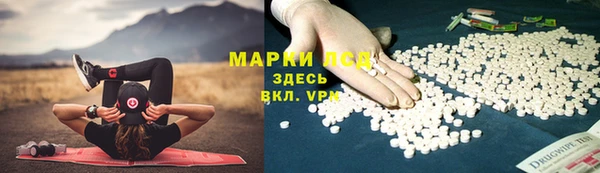 кокс Аркадак
