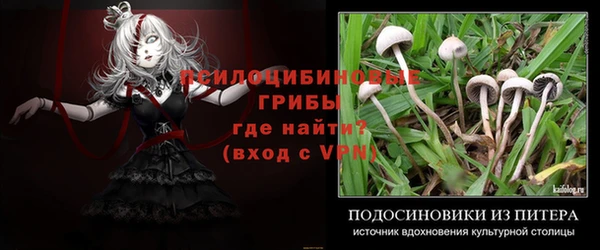 гашик Ростов
