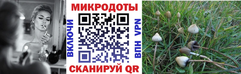 Галлюциногенные грибы Psilocybine cubensis  площадка какой сайт  Кукмор 